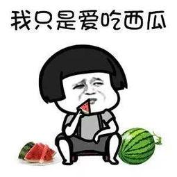 娱乐吃瓜公司有哪些,盘点热门吃瓜公司背后的故事